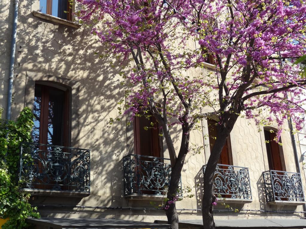 Les Santolines Hotel Cucugnan Exterior photo